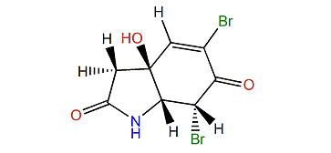 Cavernicolin 2